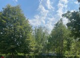 IMG_0248.jpg