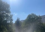 IMG_0218.jpg