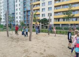 LANOVÉ HŘIŠTĚ (2).jpg