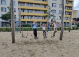 LANOVÉ HŘIŠTĚ (6).jpg