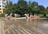 IMG_2655.jpeg