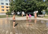 IMG_2651.jpeg