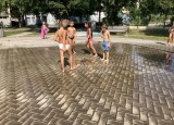 IMG_2654.jpeg