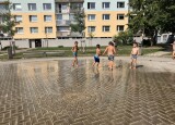 IMG_2652.jpeg