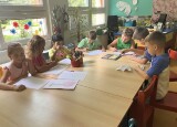 IMG_2646.jpeg