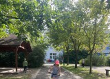 IMG_0912.jpg