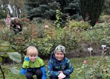 IMG_2971.jpg