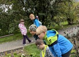 IMG_2959.jpg