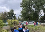 IMG_2955.jpg