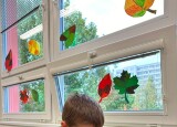 IMG-20241009-WA0017.jpg