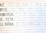 20241009_113944.jpg