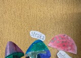 IMG_1477.jpg