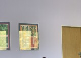 IMG_8038.jpeg