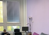 IMG_8033.jpeg