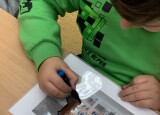 IMG_7805.jpeg