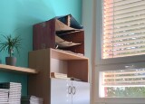 IMG_7769.jpeg