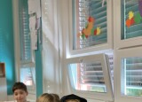 IMG_8065.jpeg