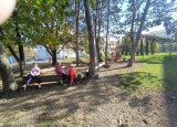 HRY VENKU A HRÁTKY V LISTÍ (13).jpg