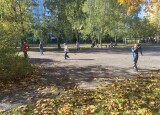HRY VENKU A HRÁTKY V LISTÍ (3).jpg