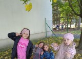 HRY VENKU A HRÁTKY V LISTÍ (7).jpg