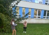 HRY VENKU A HRÁTKY V LISTÍ (4).jpg