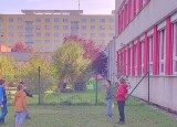 HRY VENKU A HRÁTKY V LISTÍ (12).jpg
