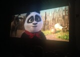 KINO-PANDA.jpg
