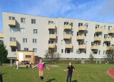 OVÁL (9).jpg