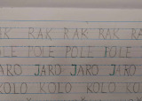 p7.jpg