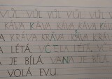 p6.jpg