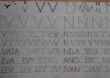 p4.jpg