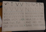 p1.jpg