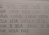 p5.jpg