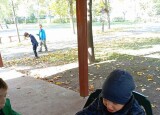 1729256518016.jpg