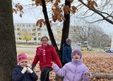 IMG_3322.jpg