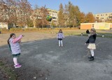 IMG_3263.jpg