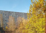 20241105_105358.jpg