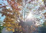20241022_134057.jpg