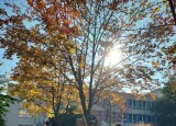 20241022_134058.jpg