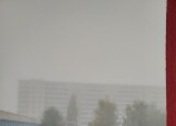 20241015_090605.jpg