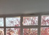 20241021_082644.jpg