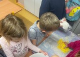 IMG_2081.jpg