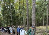 IMG_8376.JPEG