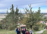 IMG_8280.JPEG