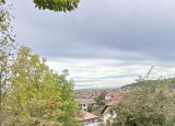 IMG_8256.JPEG