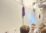 IMG_4331.jpeg
