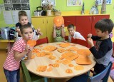 IMG_2882.jpeg