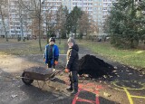 IMG_3022.jpeg