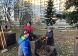 IMG_3019.jpeg