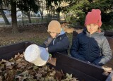 IMG_3021.jpeg